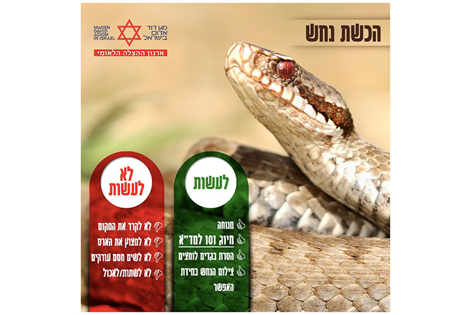 זהירות נחש